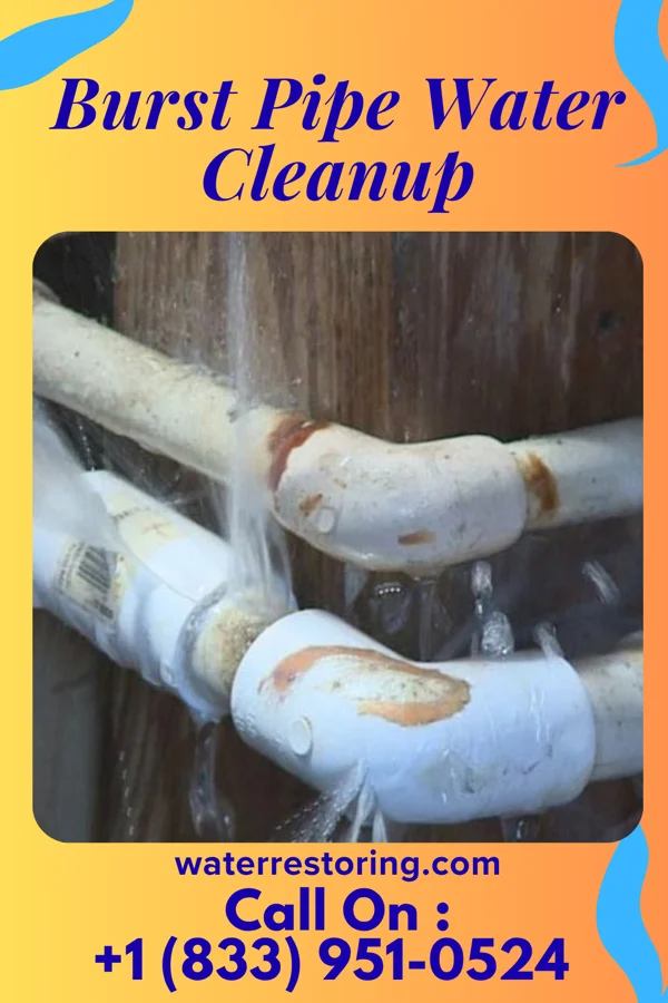 Burst Pipe Water Cleanup in Kingston, WI