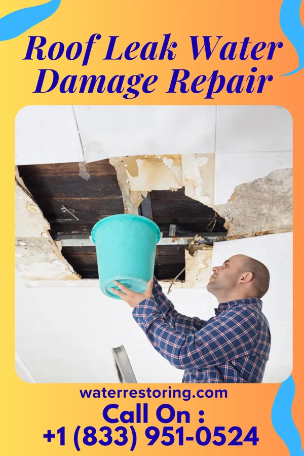 Roof Leak Water Damage Repair in Kingston, WI